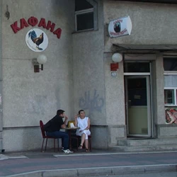 Crveni Pevac-4