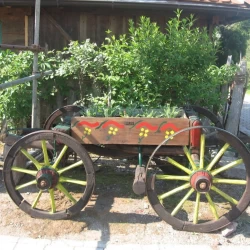 Etno kuća Erić-1