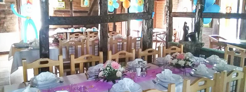Kafana Tomina koliba pozadina
