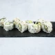 68. Ura maki umeboši