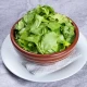 Zelena salata