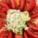 Paradajz salata