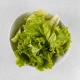 Zelena salata