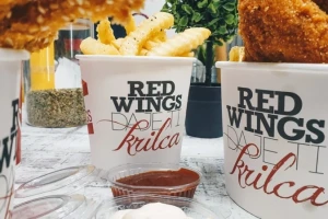 Red Wings-cover-image-big