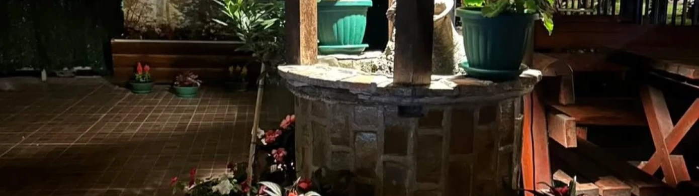 Banjički Slavuj-0