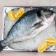Orada (veliki komad) 1kg