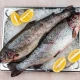 Pastrmka 1 kg