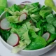 Zelena salata